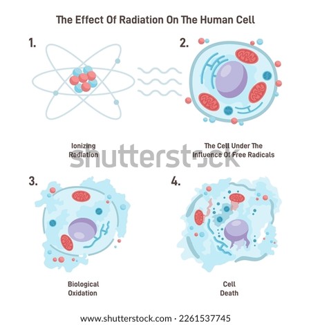 Cell death from ionizing radiation. Free radicals damage a cell structure causing it's destruction. Flat vector illustration