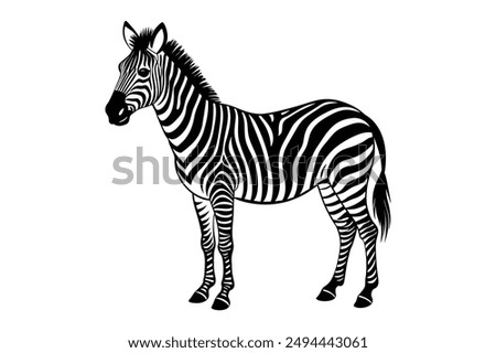 zebra vector illustration mascot, icon, characters,Holiday t shirt, black 