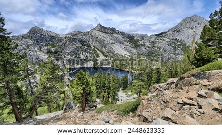 Image, Stock Photo Karg forest Forest