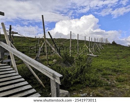 Similar – Foto Bild Wanderung mit beschränkter Aussicht über dem Achensee in Tirol in Österreich