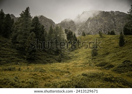 Similar – Image, Stock Photo Cloud drama and lakeside with reflection in moor lake