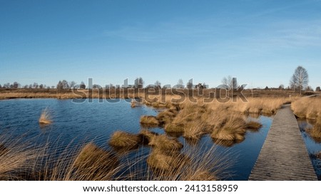 Similar – Foto Bild Nationalpark Eifel Hohes Venn mit Graslandschaft und Bäumen im Winter. Wenig Schnee liegt zwischen den dürren Grashalmen.