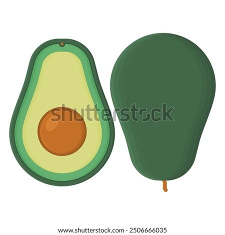 Green Avocado Cut in Half Vector. Healthy Natural Avocado. Delicious Ripe Avocado.