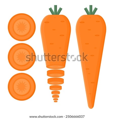 Healthy Orange Carrot Vector. Healthy Vegetable Delicious Carrot. Fresh and Cut Carrot.