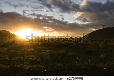 Sunset over sheep field, curio bay, new zealand