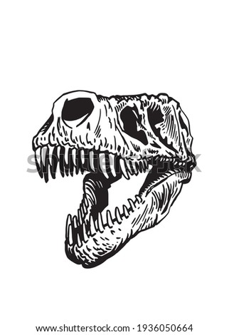 T Rex Skull Drawing | Free download on ClipArtMag