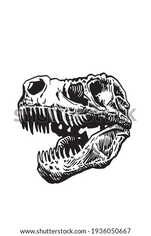 T Rex Skull Drawing | Free download on ClipArtMag