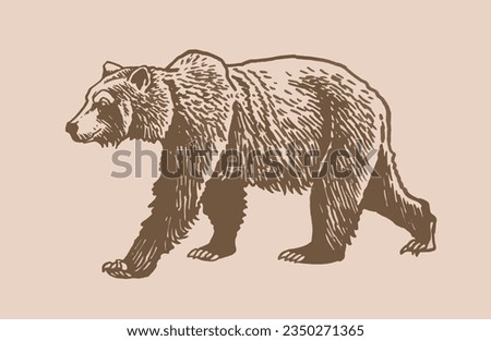 Similar – Image, Stock Photo Big Grizzly Bear walking in the forest in the mountains