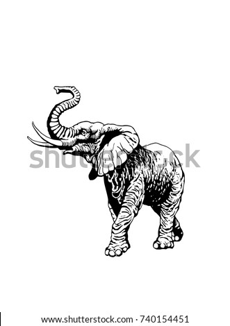 Elephant Clipart Black And White | Free download on ClipArtMag