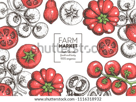stock vector tomatoes hand drawn illustration organic food design template colored vector illustration 1116318932