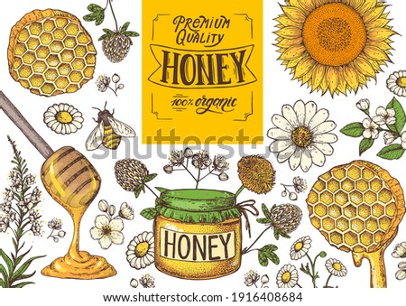 Honey hand drawn vector illustration. Healthy food illustration. Lettering Organic Honey 100% natural. Honeycomb, bee, flowers, jar of honey