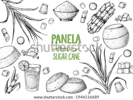 Panela sugar sketch. Hand drawn vector illustration. Vintage design template. Cane sugar. Gur or jggery powder. Organic unrefined. Vintage Design for packaging.