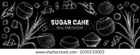 Brown Sugar Organic Unrefined. Sugar cane sketch. Hand drawn vector illustration. Sugar cane sketch. Vintage design template. Panela, Gur or jggery powder.