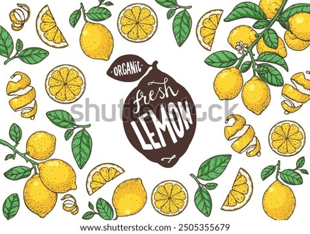 Lemon fruit hand drawn design. Vector illustration. Design, package, brochure illustration. Lemon fruit frame illustration. Design elements for packaging design and other