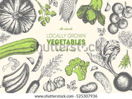 Vegetables top view frame. Farmers market menu design. Organic food poster. Vintage hand drawn sketch vector illustration. Linear graphic.