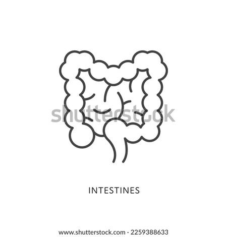 Outline style health care ui icons collection. Vector black linear illustration. Untestine anatomy symbol isolated on white background. Design element for healthcare, digestion system infographic