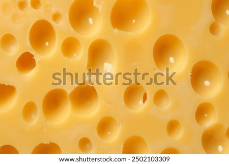 Similar – Image, Stock Photo Large holes in the plaster on a brick wall, from which a small green plant grows