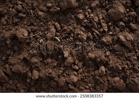 Similar – Image, Stock Photo Soil pebbles, stones soil