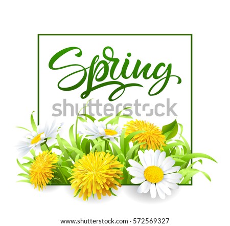 Inscription Spring Time on background with spring flowers