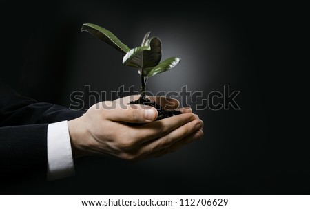 human hands  close  with  scion  rubber plant, business concept