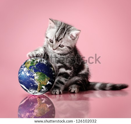 The small fluffy kitten, touch paws globe, on a white background, close-up image planet by: Stokli, Nelson, Hasler Laboratory for Atmospheres Goddard Space Flight Center www.rsd.gsfc.nasa.gov/rsd
