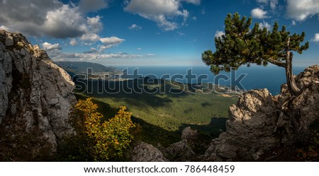Beauty nature landscape Crimea with tree - pine, horizontal photo Stock foto © 