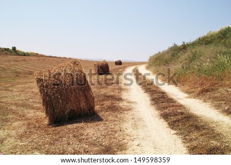 Hay field, Cyprus II