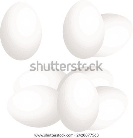 Set off eggs are in different categories illustration