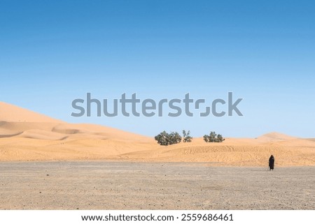 Image, Stock Photo Anonymous woman standing on embankment in evening