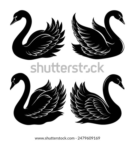 Black Silhouette Swan Vector Illustration on White Background