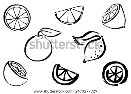 Set of citrus line drawing illustrations of orange and lemon with a touch of brush