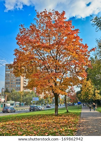 Moscow, Russia - September 18, 2013: Street of Moscow in autumn. Cars, hurrying people and the beauty of trees in autumn.