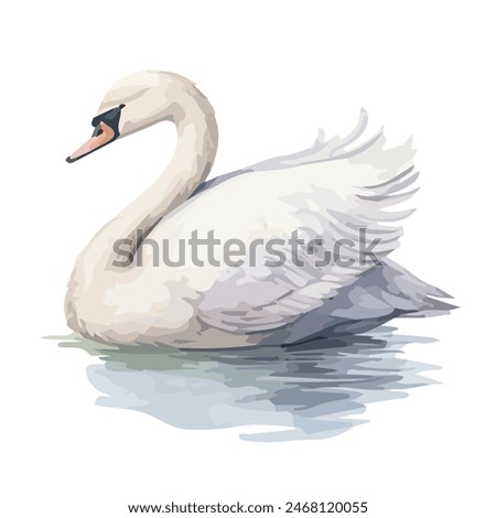 Watercolor painting of a swan   , isolated on a white background,  swan    vector, drawing clipart, Illustration Vector, Graphic Painting, design art, logo