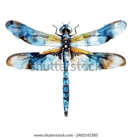 Watercolor painting of dragonfly, isolated on a white background, dragonfly vector, drawing clipart, Illustration Vector, Graphic Painting, design art, logo