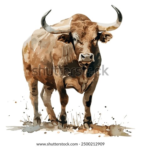 Watercolor vector of Bull, isolated on a white background, Bull painting