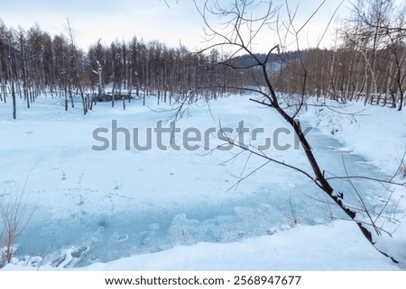 Similar – Image, Stock Photo Clear pond near rocks at sunset