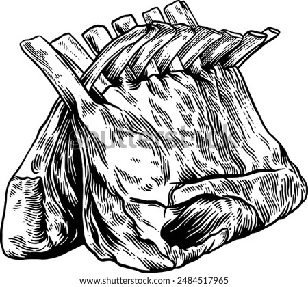 Hand drawn Rack of Lamb Sketch illustration