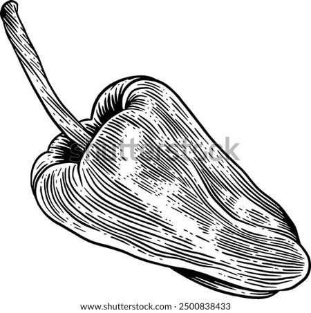 Hand drawn Bell Pepper Sketch Illustration