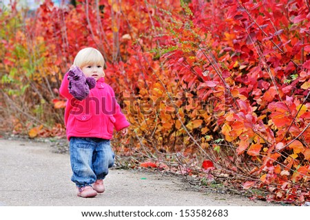 autumn toddler walk along bright bushes