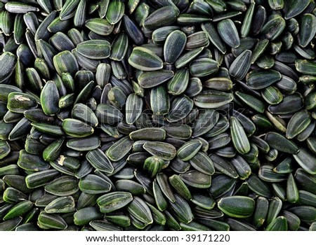 Dry sunflower'd seeds, it is possible to be background.