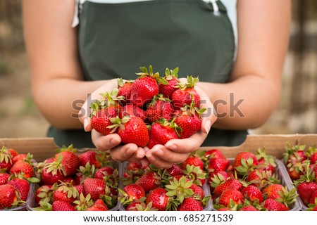 Similar – Image, Stock Photo Harvest of berries from your own garden