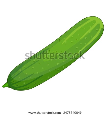 fresh cucumber vegetable isolated icon. cucumber for farm market, vegetarian salad recipe design. Vector illustration in flat style