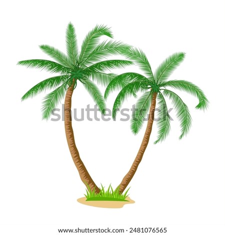 Tropical palm trees isolated on white background. Coconut trees. Vector illustration in flat style