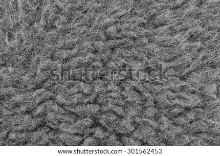 Raw Merino Sheep Wool Macro Closeup, Large Detailed Grey Textured Pattern Copy Space Background, Horizontal Gray Texture Studio Shot