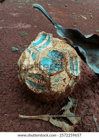 Similar – Foto Bild Alte, kaputte, ungepflegte, weisse, leere Liegestühle aus Plastik, stehen nebeneinander in einer Reihe, im Licht auf einem Liegeplatz mit Gras und Steinen und warten auf Urlauber / Besucher.