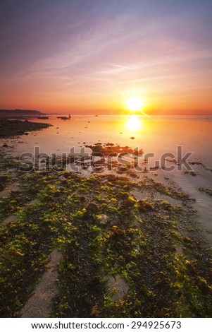 Sunrise near a beach with red and green seaweeds in Bali, Indonesia.