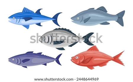 Fish illustration vector bundle. Fish vector cartoon set icon. Vector illustration icon fish food on white background. Fish illustration vector bundle