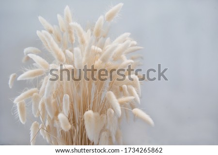 Similar – Image, Stock Photo Dried bouquet of flowers