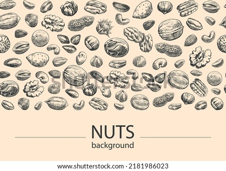 Nuts mix Seamless vector background. Hand drawn elements. Sketch almond, brazil nut, nutmeg, macadamia, cashew, pecan, peanut, pistachio, chestnut. Illustration for design