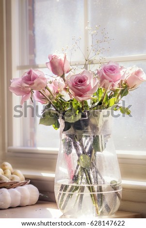 Similar – Image, Stock Photo 6 x 4 windows on orange wall